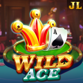 Wild Ace slot at 1win casino